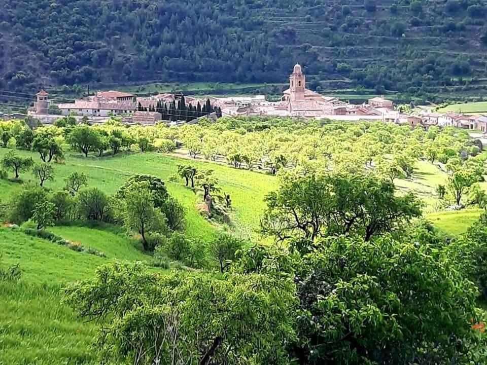 Las Moradas Del Temple Mirambel  Exterior photo